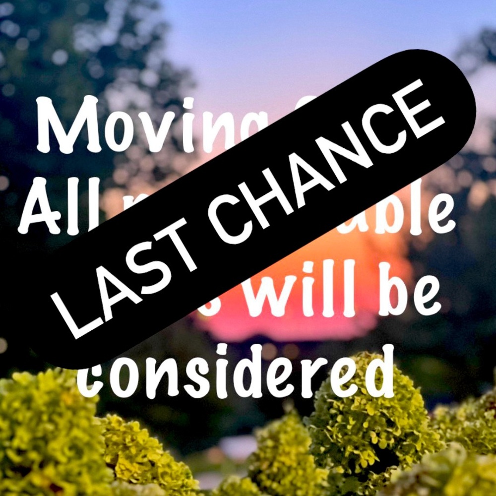 LAST CHANCE! Moving across the country…time to purge my poshmark closet!